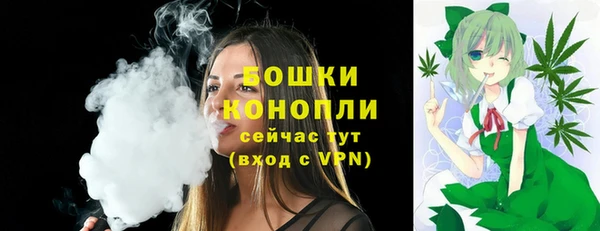 mdpv Инсар