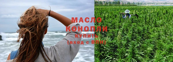 mdpv Инсар