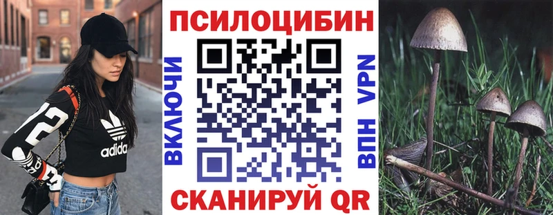 Купить закладки  Десногорск  Галлюциногенные грибы Magic Shrooms 
