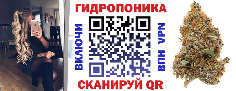 Бошки Шишки планчик Купить закладки Десногорск